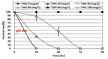 Survival rate of C. carpio (matured) in response to TAN concentration.