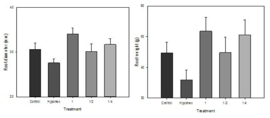 Diameter and root weight of each treatments of carrot.