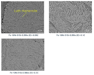 Fe-10Ni-1Si-0.5Mo-2Cr-XC(X=0.05, 0.1, 0.2wt%) 소결체의 미세조직