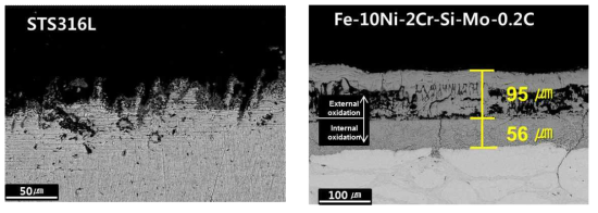 STS316L 소결체와 Fe-10Ni-1Si-0.5Mo-2Cr-0.2C 소결체의 산화층 미세조직
