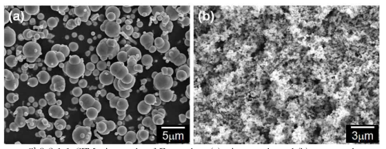 SEMmicrographs of Fe powders: (a) micro powder and (b) nano powder