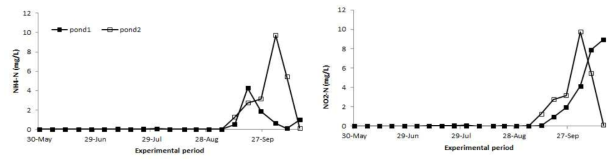 Comparison of water quality (ammonia and nitrite) by grow-out culture method differences