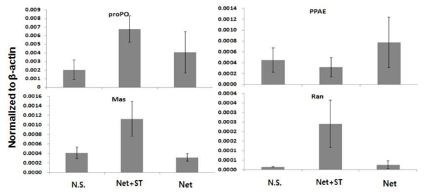 Expression of immune related genes (proPO, RAN, MAS, PPAE) of L. vanammei in different settlement substrates (combination of net and settling tank). Gene expression level was normalized to β-actin. N.S; no use of settlement substrate.