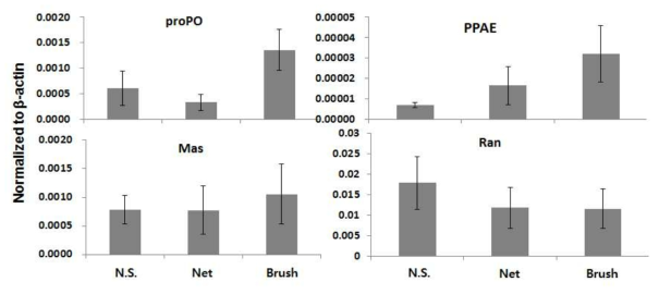 Expression of immune related genes (proPO, RAN, MAS, PPAE) of F. chinensis in different settlement substrates. Gene expression level was normalized to β-actin. N.S; no use of settlement substrate.