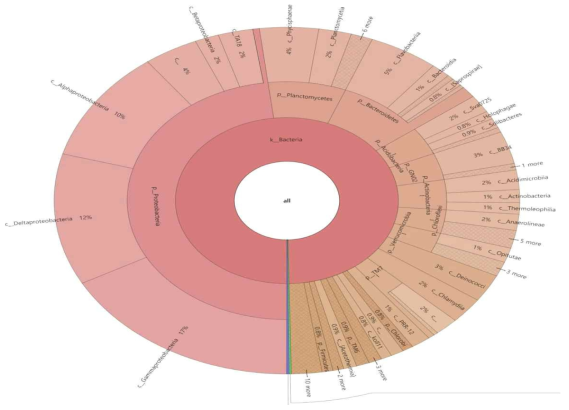 Relative abundance and taxomonic hierarchys of classification of nitrite oxidizing bacteria.