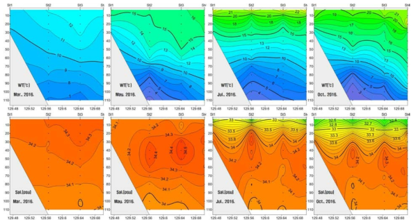 Vertical distribution of water temperature(upper) and salinity