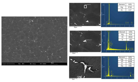 ZK60A 연속주조재 SEM/EDS 분석결과