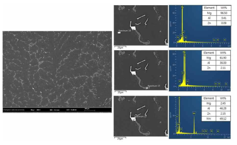 AZ80 연속주조재 SEM/EDS 분석결과