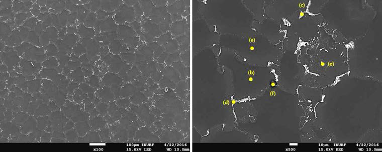 320℃, 8시간 열처리한 시편의 미세조직 분석 결과