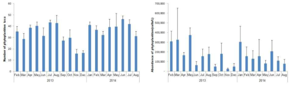 Monthly variations of the number of phytoplankton species(left) and population(right) in Gangjin Bay, 2013~2014.