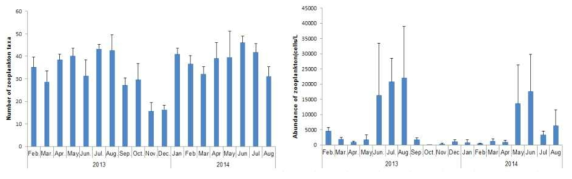Monthly variations of the number of zooplankton species(left) and population(right) in Gangjin Bay, 2013~2014.