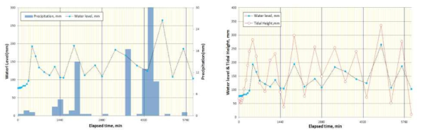 The variations of water level and precipitation (left) and water level and tidal height (right) during precipitation at a stream with representative station in Gangjin watershed.