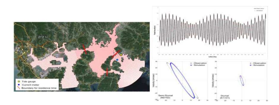 Grid map and current measurement site (left). The results of tidal elevations and current ellipses between observed and simulated data