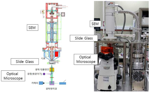 투명 시료용 광전자 융합현미경 (2차년도 조립)