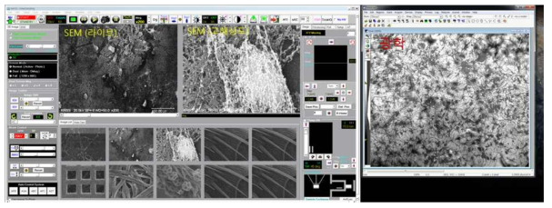 투명 시료용 광전자 융합현미경의 SEM 과 광학 동시 측정 (GUI) 이미지