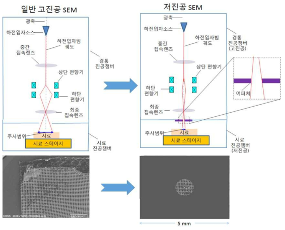 고진공 SEM 과 저진공 SEM의 전자빔 광학 다이어그램 및 SEM 이미지 비교