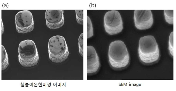 수μm 높이의 나노 기둥의 핼륨이온 현미경과 SEM 이미지의 비교