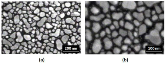 제작한 FE-SEM 의 2차년도 gold nano-particle 이미지 획득; (a) 10 k 이미지, (b) 20 k 이미지