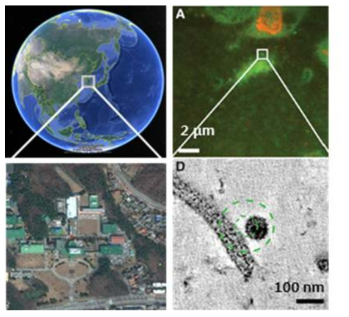 Google earth 와 융복합 현미경의 개념도 비교
