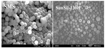 SMS 와 Sunsil-130H 지지체의 전자 현미경 사진