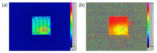 LIT시스템을 이용해 측정한 열분포 이미지 (4-5) (a) 진폭 (b) 위상