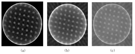 (a) filtered backprojection, (b) SIRT 및 (c) CGLS 기법기반 영상 재구성