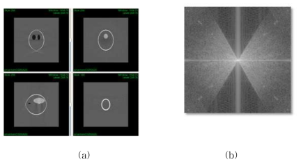 (a) oblique 틸트 각도가 60도에서 영상복원시 나타나는 missing wedge artifact 및 (b) missing wedge effect