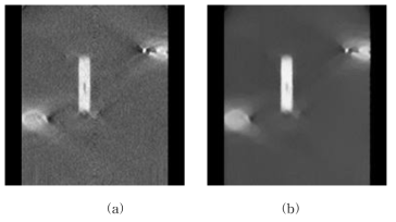 (a) 원본영상 및 (b) missing wedge 개선 영상