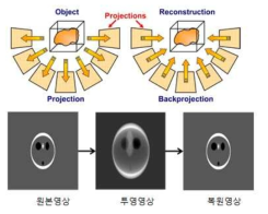 3D 복원을 위한 원본, 투영 및 복원영상