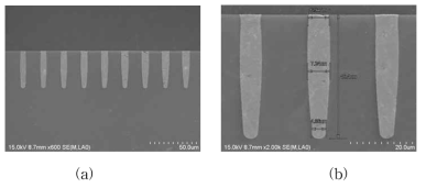 직경 5 um TSV 단면 SEM 사진 (a) 50 um 스케일 사진 (b) 20 um 스케일 사진