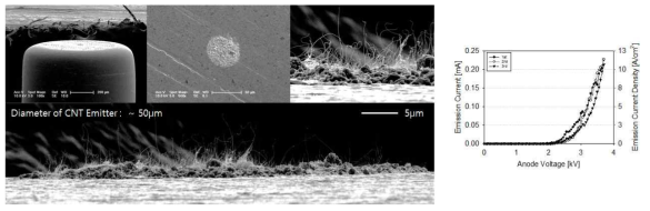 초미세 CNT 에미터 공정 및 성능 향상