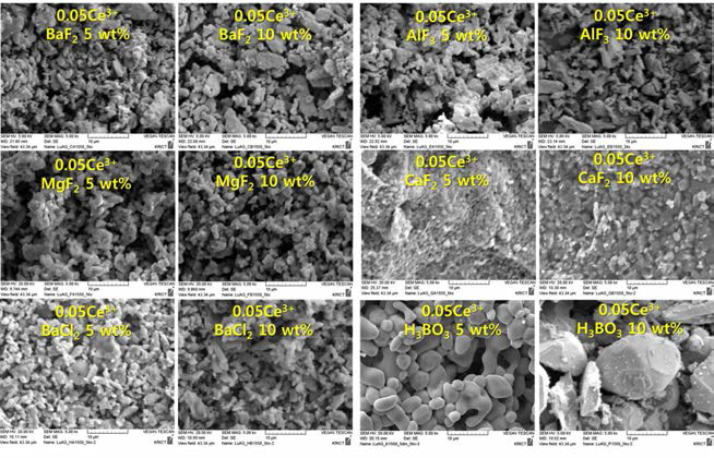 융제의 종류 및 함량에 따른 Lu3Al5O12:Ce3+ 형광체의 SEM 사진