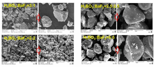 H3BO3와 BaF2 융제의 혼합비율에 따른 형광체의 FE-SEM 사진