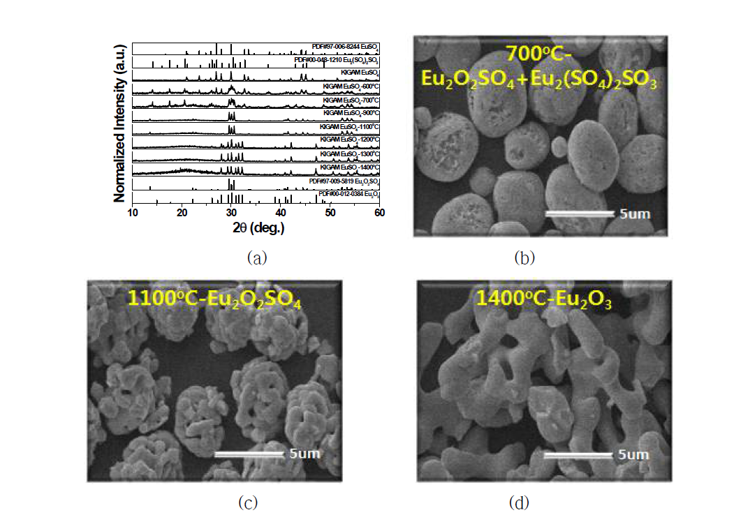 EuSO4 전구체의 열처리 거동