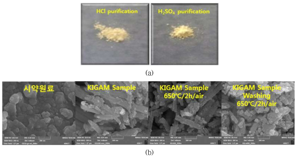 국내산 Ce(OH)4를 정제한 CeO2의 (a)분말 사진과 (b) SEM 사진