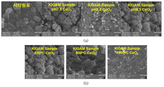 CeO2 분말의 FE-SEM 사진 (a) pH 변화, (b) 열처리 온도 변화