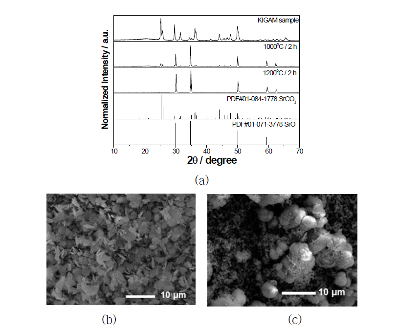 SrCO3 전구체 분말의 특성 평가
