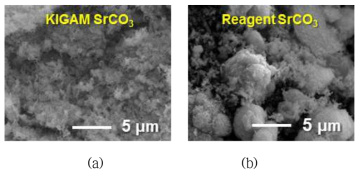 SrCO3 분말의 SEM 사진 (a) 나노입자 SrCO3 전구체, (b) 시약 SrCO3