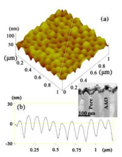 (a) AFM image of Ag(10 nm)/Co(8 nm)/NiO(1 nm)/Ag(5 nm) antidot arrays, (b) Cross section image along the white line in (a). The inset is cross sectional TEM image of Co/NiO antidot arrays