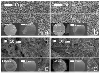 Fractography analysis, (a) D150-air, (b) D150-hydrogen, (c) R-STS-air, (d) R-STS-hydrogen