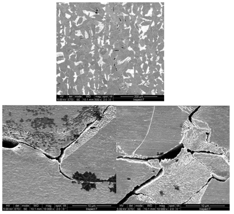 SEM micrographs of the specimen shown in Fig. 3-8-49