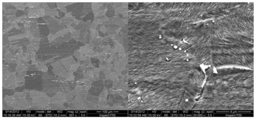 SEM micrographs of 18Cr-9Ni austenitic stainless steel after solution heat treatment