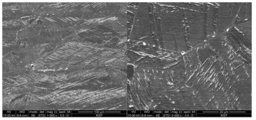 SEM micrographs of 18Cr-9Ni austenitic stainless steel after 30 % tensile elongation