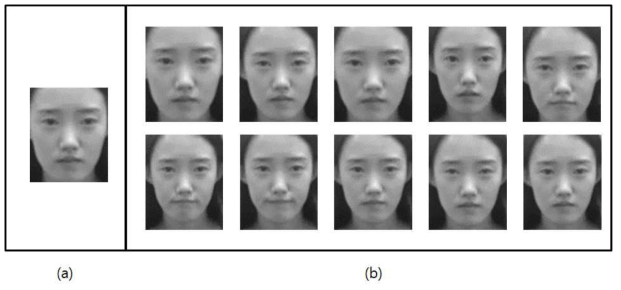 등록영상 예시. (a) 단일영상. (b) 열장의 다중영상.