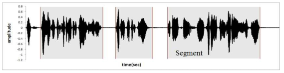 Segment for voice signal at time domain.