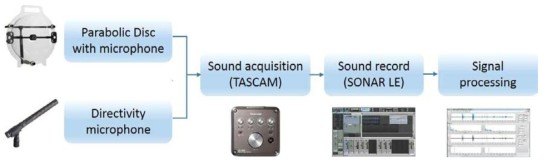 Schematic diagram of sound measurement system.