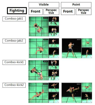 Image DB of the fighting activities.