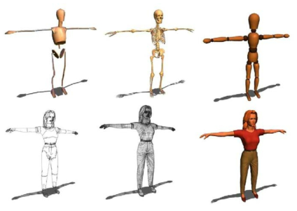 Digital representations of human models.