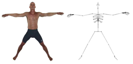 Modeling of a human using a series of rigid links connected by joints, also called kinematic skeleton.