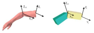 Joint coordinate systems between two segmental links.